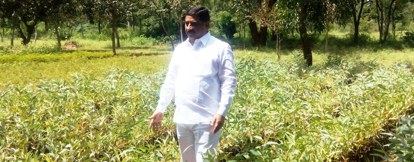 2-image